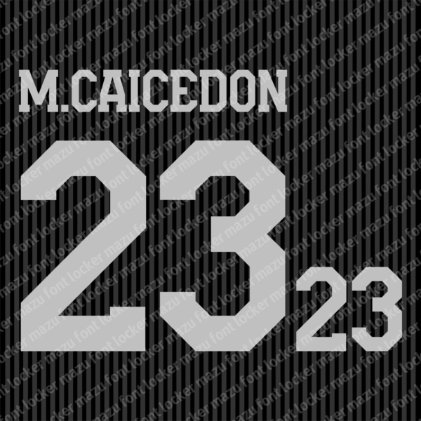 Ecuador Special 2025 Font Vector (AI, EPS, SVG, TTF) – #1 Authentic Style