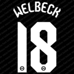 Brighton FC 2023-2024 Font Vector (AI, EPS, SVG, TTF) – #1 Authentic Style