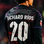 Benfica X Vhils 2025-2026 Font Vector – Incredible Artistic Eagles Vector Kit