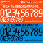 Netherlands Womens Euro 2025 Font Vector – Epic Oranje Lionesses Masterpiece