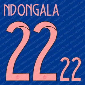 France Womens Euro 2025 Font