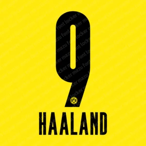 Borussia Dortmund 2020-2021 Font