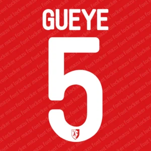 Lille OSC UCL 2014-2015 Font