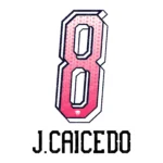 Pumas UNAM Octubre Rosa 2026-2027 Font Vector – Legendary Los Pumas Masterpiece